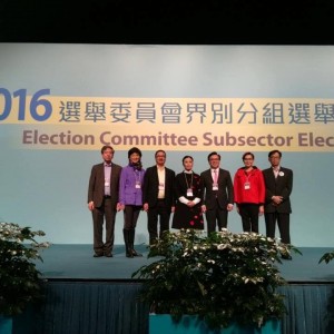 2016年選舉委員會文化小組選舉